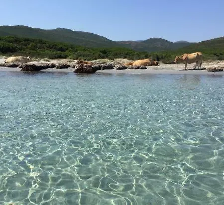 Maison d'hôtes Casa Di Maria Rogliano